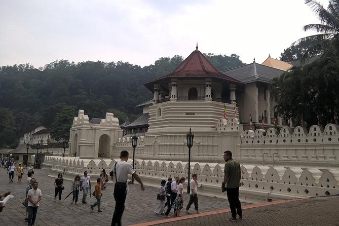 Kandy Day Tour From Colombo - Temple of the Sacred Tooth Relic: what to expect inside