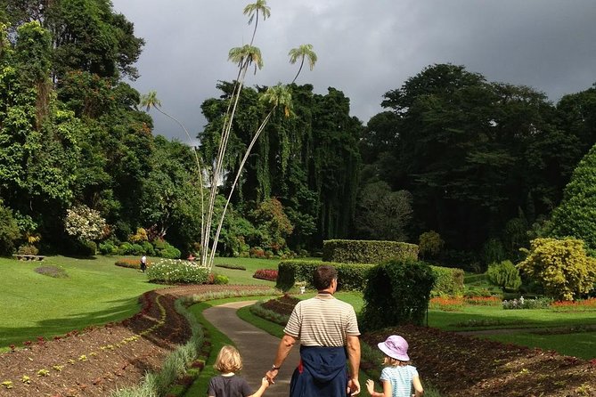Kandy Day Tour From Colombo - Kandy View Point and Kandy Lake: a quick climb with real payoff