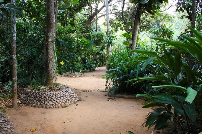 Kandy Full-Day Tour - Kadugannawa Tea Factory and Tea Estate: From Hills to Your Cup