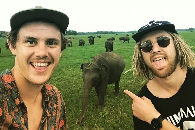 Kandy - Minneriya National park & Sigiriya Rock by tuk tuk tours - Why this Kandy day trip hits three big targets fast