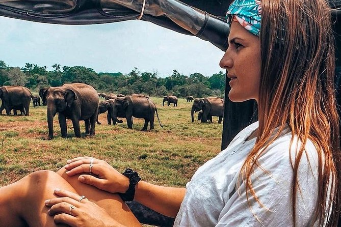 Kandy - Minneriya National park & Sigiriya Rock by tuk tuk tours - Ayurvedic village plus food tastings on the way to Dambulla
