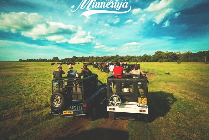 Kandy - Minneriya National park & Sigiriya Rock by tuk tuk tours - Dambulla Cave Temple: stairs, shade, and what to expect