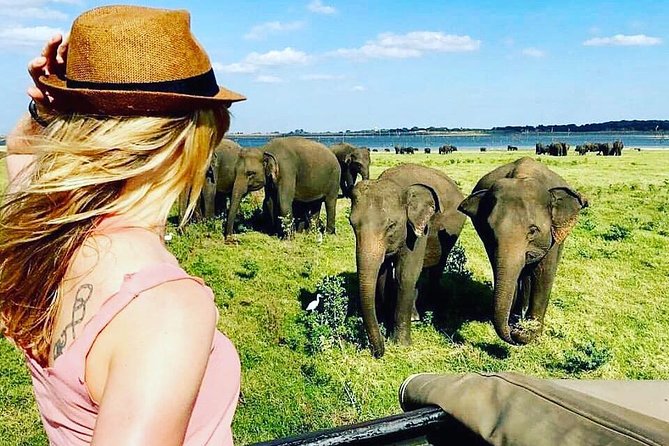 Kandy - Minneriya National park & Sigiriya Rock by tuk tuk tours - Sigiriya Rock visit and a lunch break you should plan for