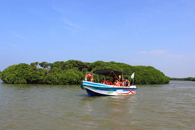 Muthurajawela Bird Watching Tour from Negombo / Colombo - Leaving Colombo/Negombo for Muthurajawela’s Wetland Birding