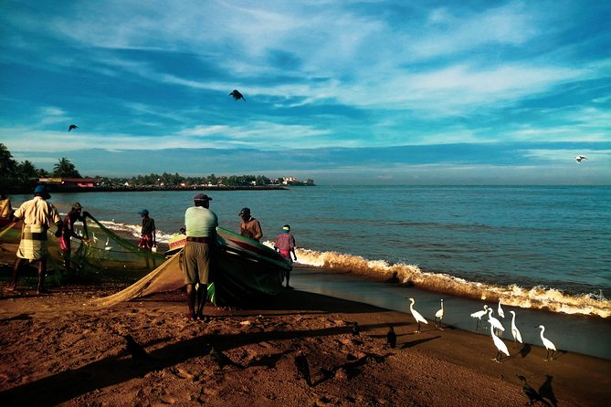 Negombo Day Tour - Getting Oriented: How a 4-hour Negombo Plan Works