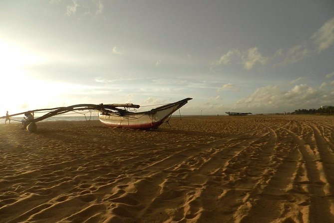 Negombo Day Tour - The Fish Market (20 minutes): Watching Real Trade Up Close