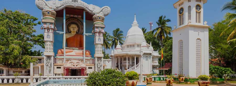 Negombo: Guided City Tour by Tuk Tuk with Hotel Pickup - Optional 1-hour Negombo Lagoon boat safari: birds, monkeys, and timing reality
