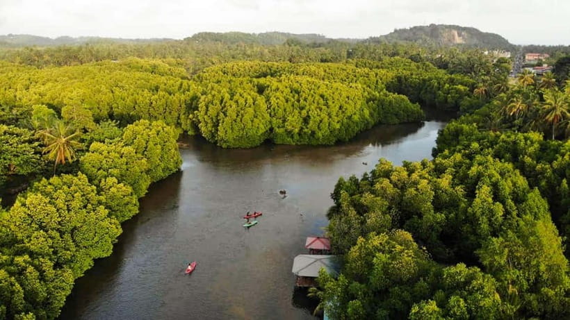 Negombo: Guided Kayaking Tour in the Lagoon - Negombo Lagoon Kayaking: Why This Area Feels Special