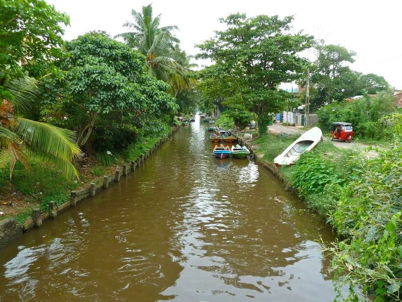 Negombo: Hamilton Canal to Colombo by Boat via Muthurajawela - Dutch Canal to Negombo Lagoon: a colonial waterway with working farmland nearby
