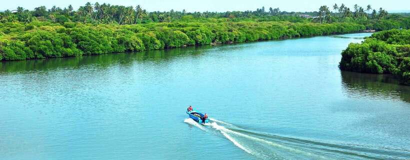 Negombo: Hamilton Canal to Colombo by Boat via Muthurajawela - Muthurajawela Wetland Sanctuary Visitor Center: where the story gets real