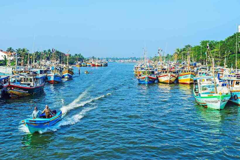 Negombo: Hamilton Canal to Colombo by Boat via Muthurajawela - Negombo Lagoon cruising: mangroves, fishing villages, and birds on patrol