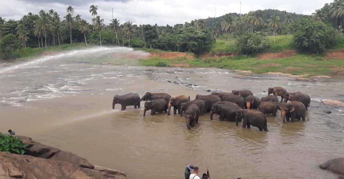 Negombo: Kandy and Pinnawala Elephant Orphanage Day Tour - Kandy viewpoint, market time, and a gem museum/lapidary lesson