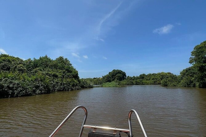 Negombo Lagoon & Muthurjawela Bird Watching Boat Tour - Quick highlights (what matters most)
