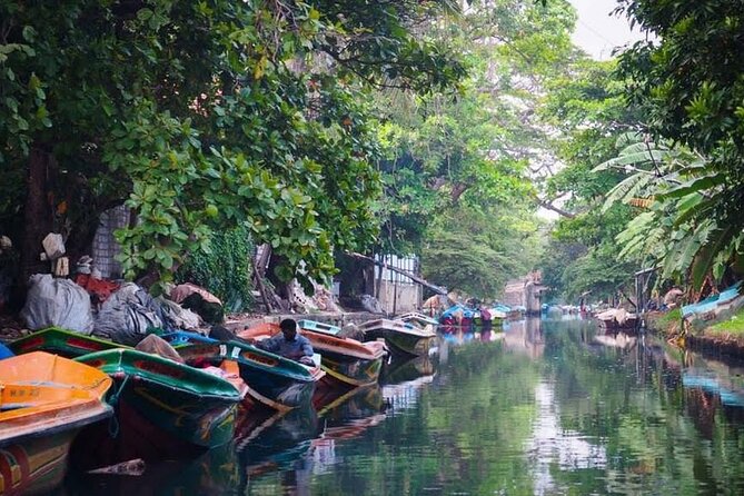 Negombo Lagoon & Muthurjawela Bird Watching Boat Tour - Stop 1: Negombo Lagoon boat time and what to expect