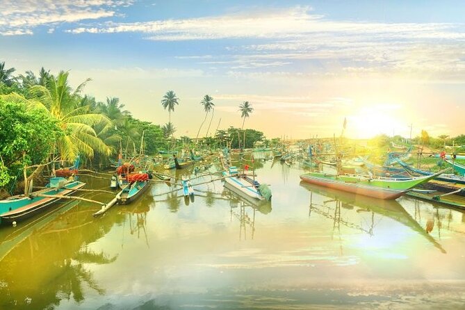 Negombo Lagoon & Muthurjawela Bird Watching Boat Tour - Stop 2: Muthurajawela Marsh bird watching in a slower, wetter world