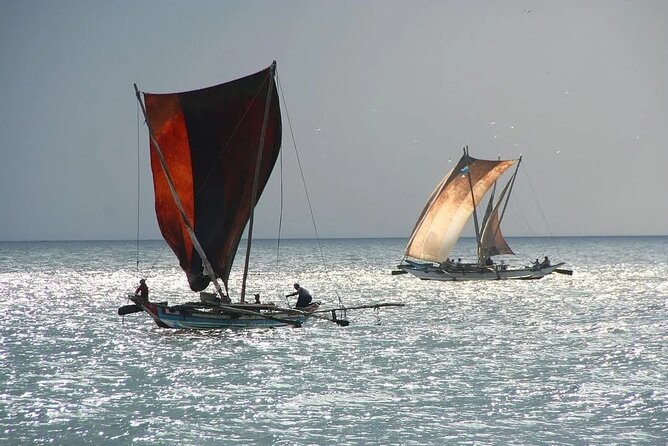 Negombo Lagoon & Muthurjawela Bird Watching Boat Tour - Getting there in Negombo: the cruise-ship reality check