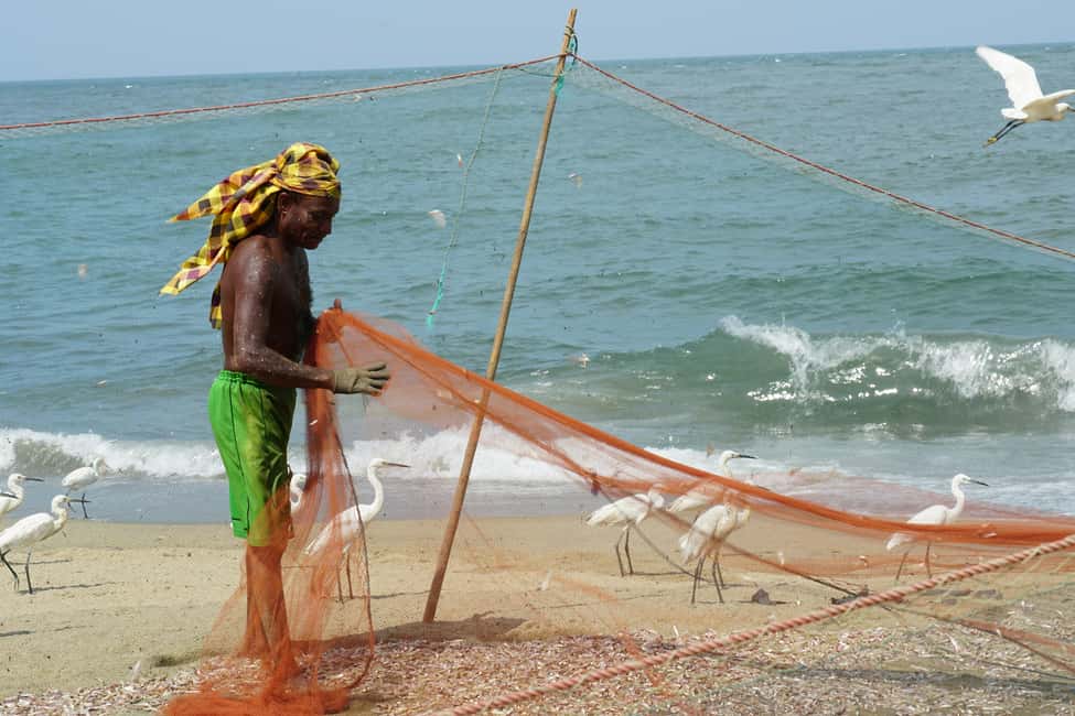Negombo Private Tour: Market, Temples & Canal - A Quick, Private Intro to Negombo’s Real Day-to-Day
