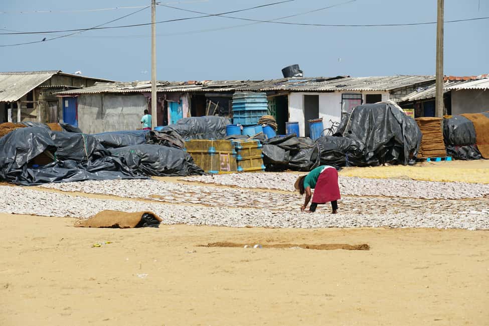 Negombo Private Tour: Market, Temples & Canal - What You’re Getting for $19: Value That Feels Real