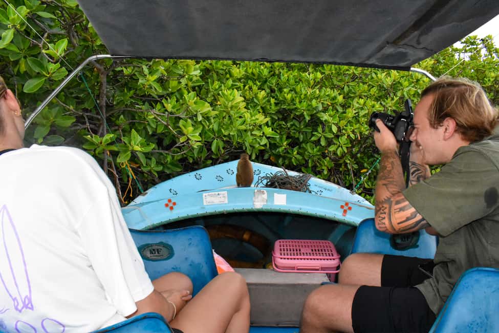 Negombo: Sunset lagoon boat tour with hotel transfers - From Negombo to the Dutch Canal Bridge: easy starts matter