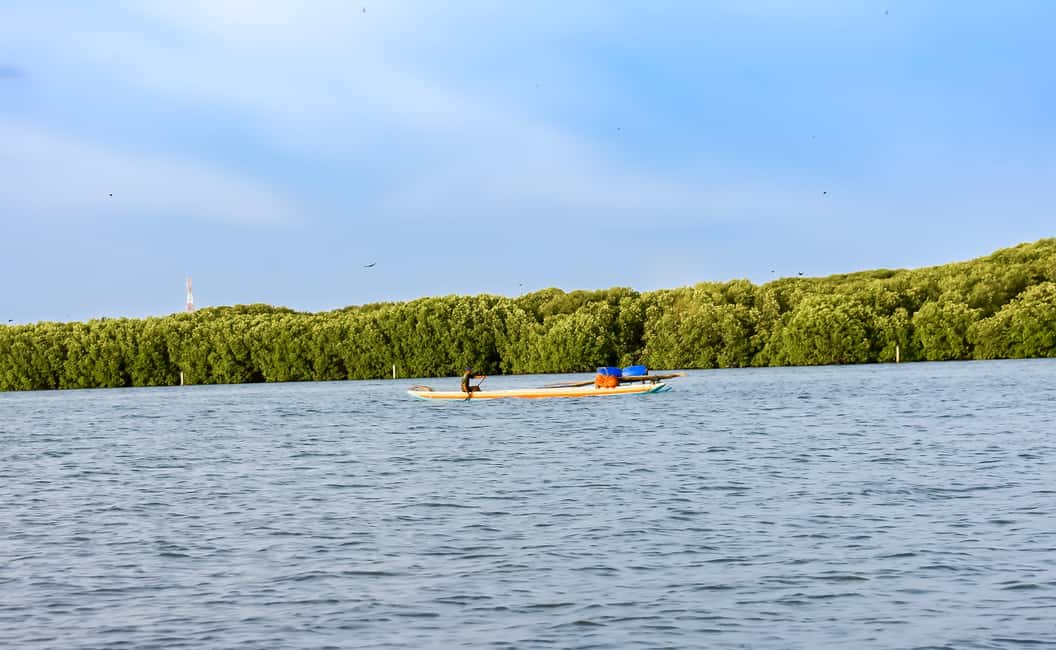 Negombo: Sunset lagoon boat tour with hotel transfers - Fresh Sri Lankan fruit in the lagoon: a snack that feels local