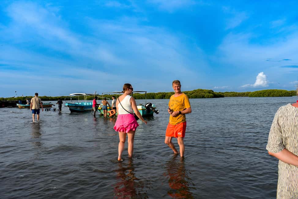 Negombo: Sunset lagoon boat tour with hotel transfers - Who should book this tour (and who might think twice)