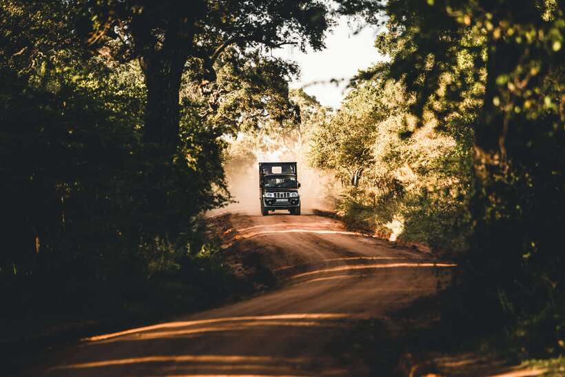 Overnight Treehouse Safari at Yala National Park - Key things to know before you go