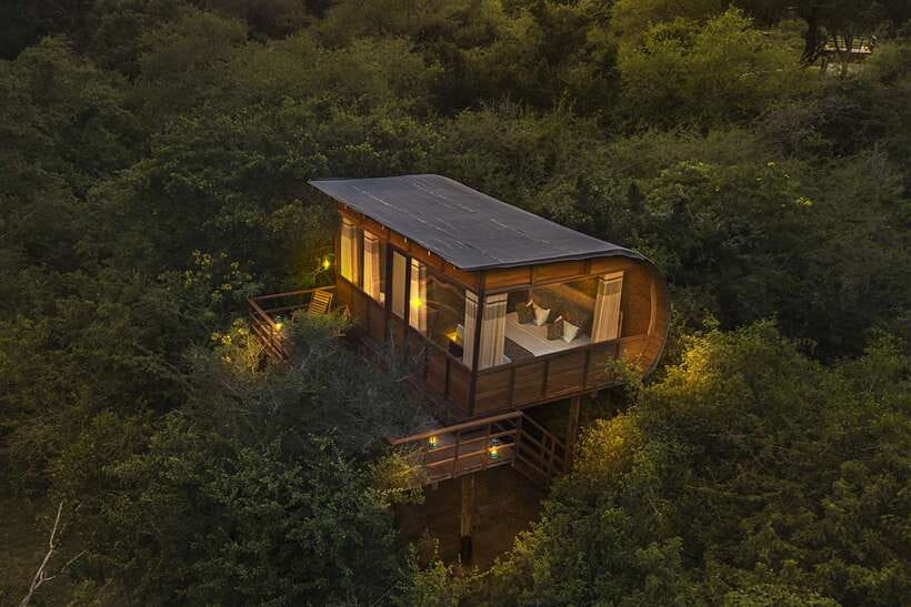 Overnight Treehouse Safari at Yala National Park - Evening Jeep Safari With a Personal Ranger
