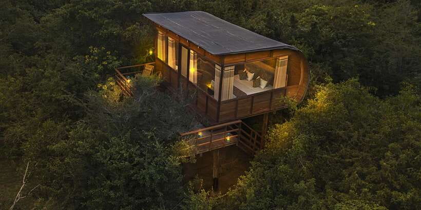 Overnight Treehouse Safari at Yala National Park - Day 2 Dawn: Nature Trek and Lake-Side Breakfast