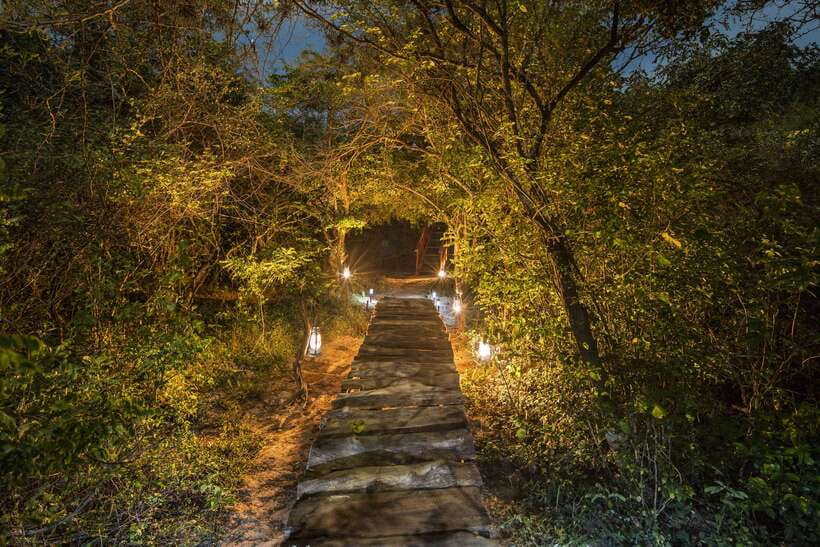 Overnight Treehouse Safari at Yala National Park - Wildlife Realities: Leopards, Elephants, and Patience