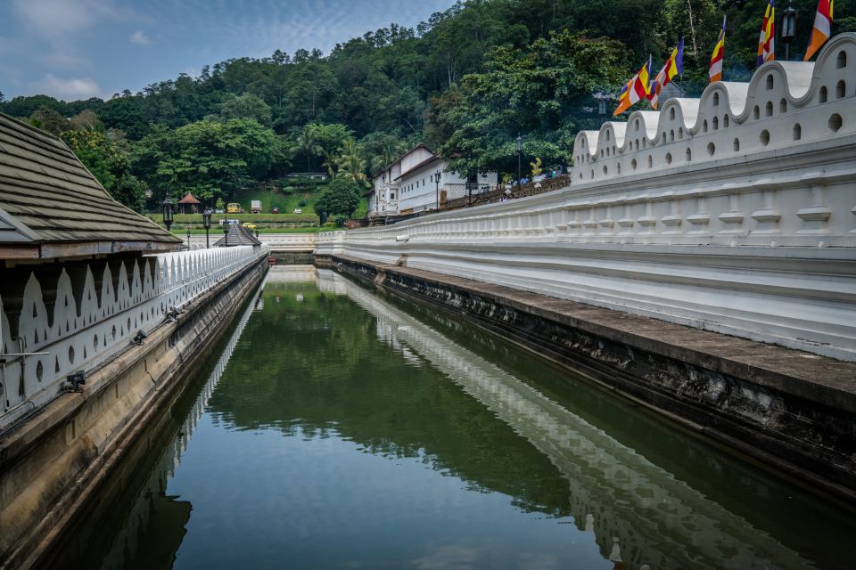Pinnawala & Kandy Day Tour from Negombo - Price and Value: Is $60 Worth It?