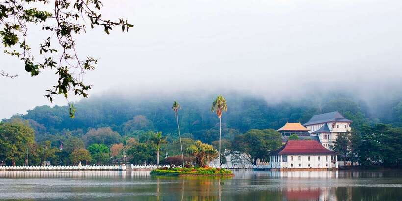 Pinnawala & Kandy Day Tour from Negombo - How the Day Runs From Negombo (and Why It Works)