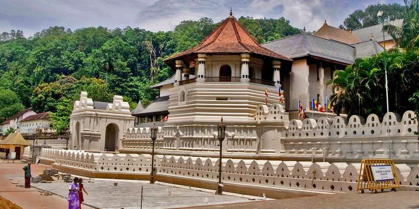 Pinnawala & Kandy Day Tour from Negombo - Royal Botanical Gardens, Kandy: Big-Scale Nature With Real Plant Details