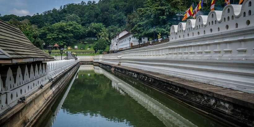Pinnawala & Kandy Day Tour from Negombo - Spice Garden Walk and the Natural Medicine Story