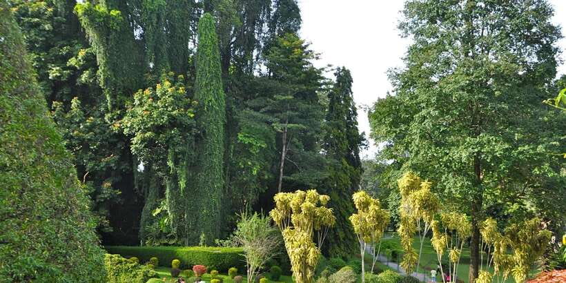 Pinnawala & Kandy Day Tour from Negombo - Pinnawala: A Scenic Stop That Breaks Up the Journey