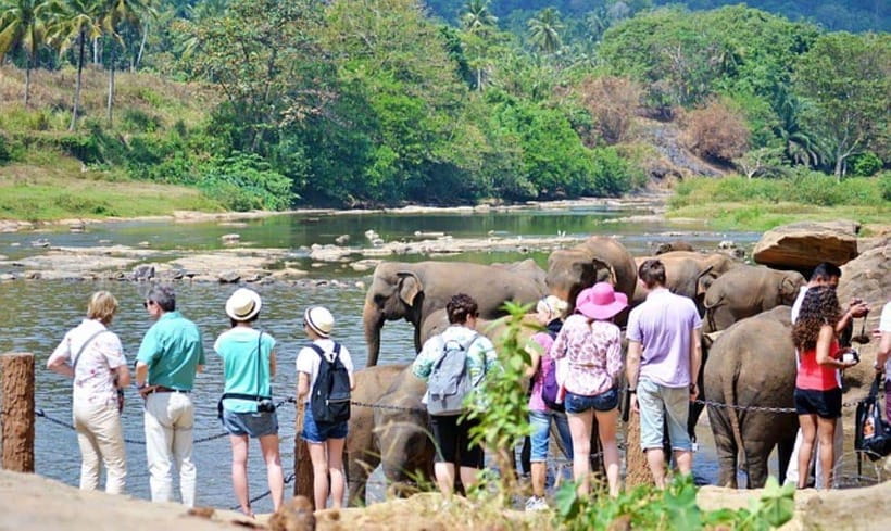 Pinnawala,Kandy Day Tour from Colombo/Negombo - A Long Day From Colombo/Negombo: Why 12 Hours Works
