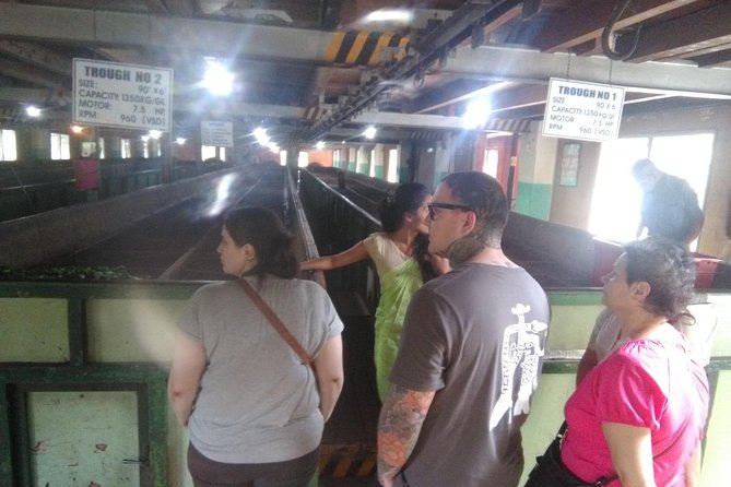 Private all inclusive Day tour Kandy, Pinnawala, & your own selected attractions - Transport, comfort, and the driver-guide factor
