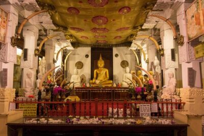 Private Car & Driver for 07 Days Tour In Sri Lanka - Dambulla cave temples, then Kaudulla or Minneriya elephants