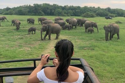 Private Multi Day Sri Lanka Tour with Chauffeur - Price and Value for a Group of Up to Four