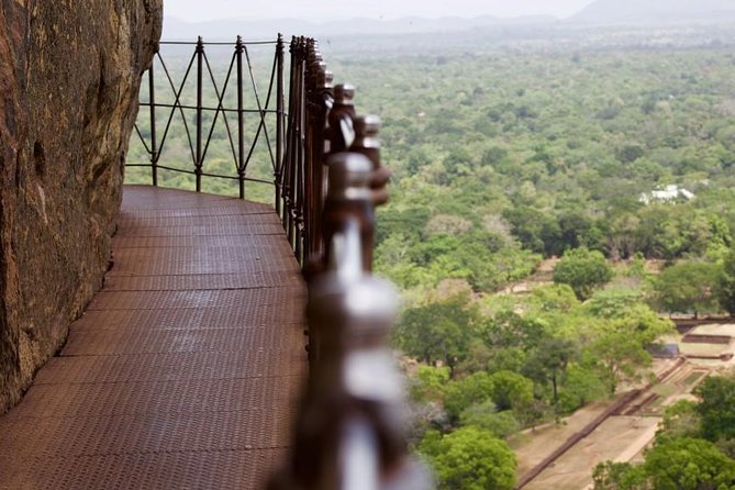 Private Trip to Sigiriya, Dambulla & safari from Colombo/ Negombo - Key things to know before you go