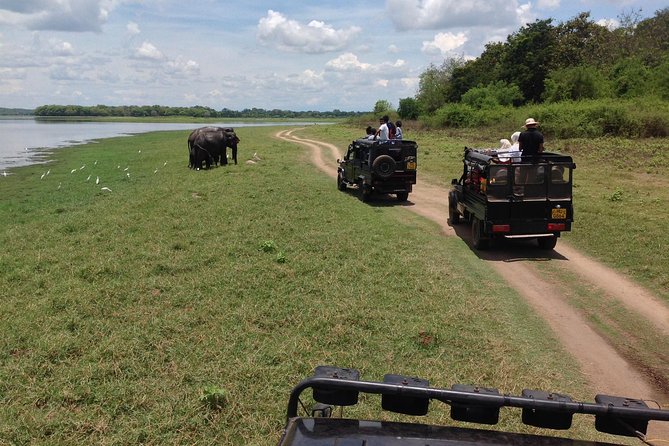 Private Trip to Sigiriya, Dambulla & safari from Colombo/ Negombo - Pidurangala: the sister-rock that changes the whole perspective