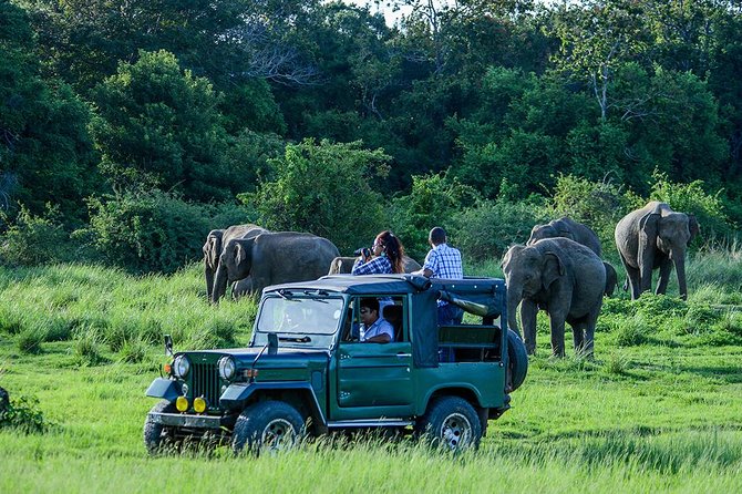 Private Trip to Sigiriya, Dambulla & safari from Colombo/ Negombo - Dambulla Cave Temple: one hour that resets the day