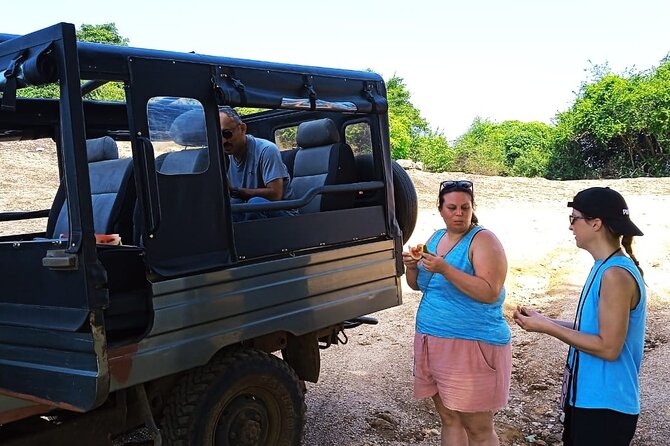 Safari Day Tour to Sigiriya Lion Rock and Golden Cave Temple - A One-Day Route That Actually Feels Like a Plan