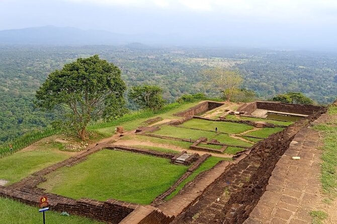 Safari Day Tour to Sigiriya Lion Rock and Golden Cave Temple - Dambulla Cave Temple: A Rock Temple That Feels Huge