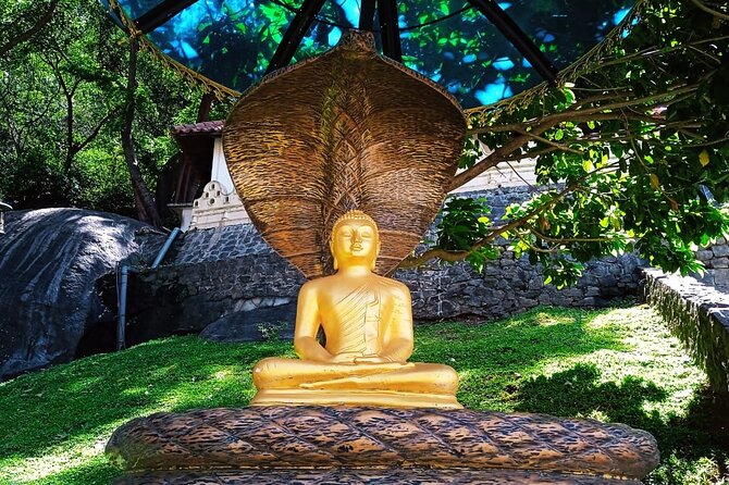 Safari Day Tour to Sigiriya Lion Rock and Golden Cave Temple - Optional Add-Ons: Bullock Cart Village Tour and Hurulu Safari