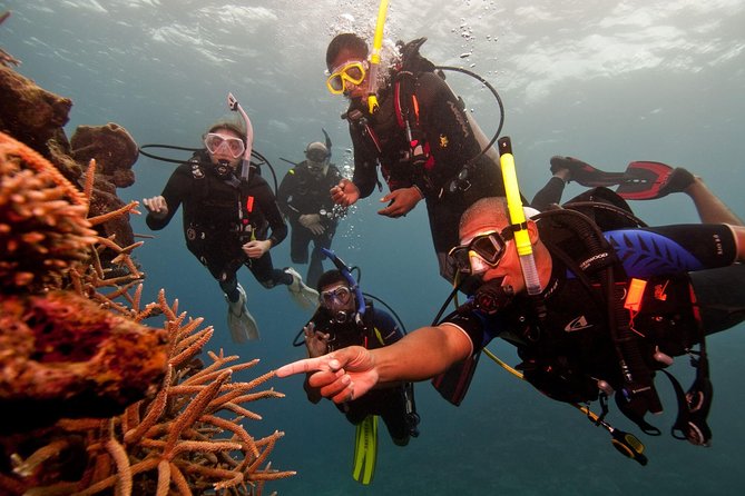 Scuba Diving For Beginners - Key Takeaways Before You Go