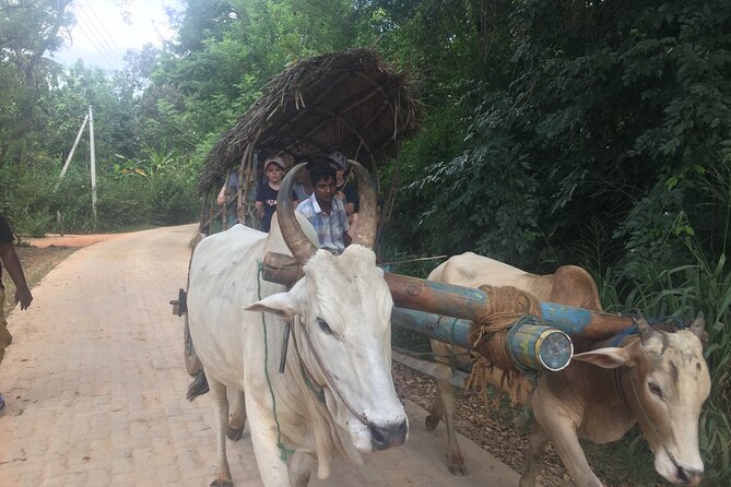 Sigiriya Day Trip with Experts - Stop 1 — Evening Elephant Safari at Minneriya National Park