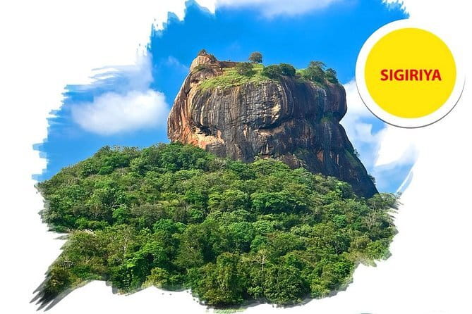 Sigiriya Rock and Dambulla Cave Temple all inclusive Private Day Trip - Your guide and driver: punctual, flexible, and genuinely helpful