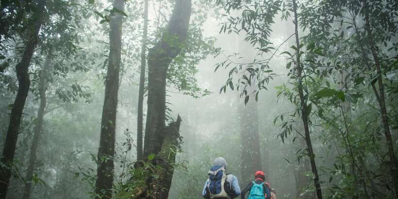 Sri Lanka: 2-Day wildlife tour; rainforest and National park - Key Things to Know Before You Go