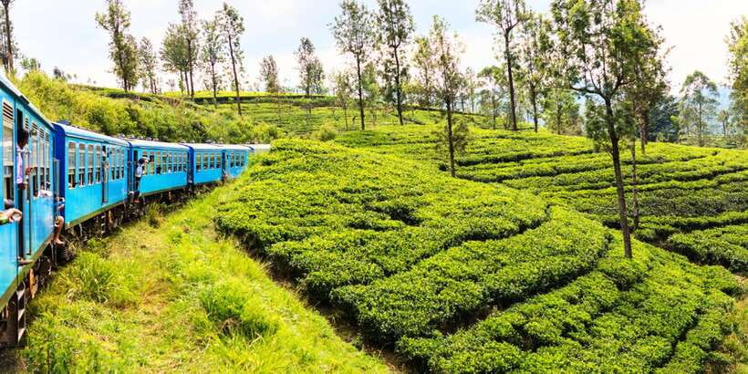Sri Lanka: 2-Day wildlife tour; rainforest and National park - The One-Night Stay: Simple, Efficient, and Best Used for Sleep