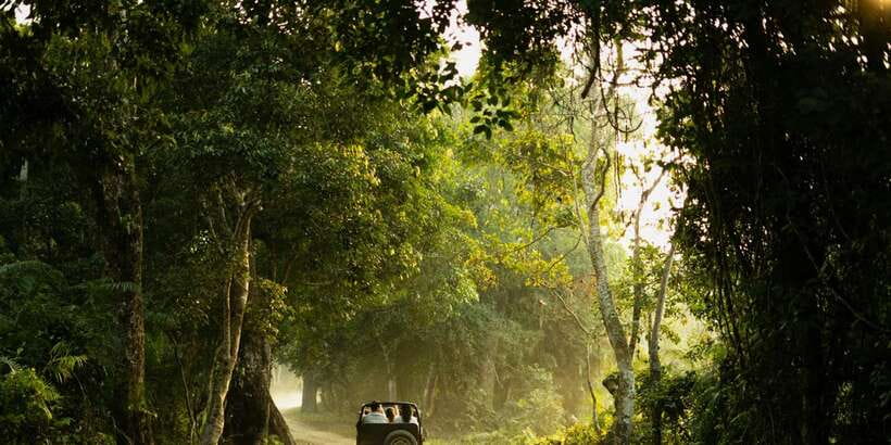 Sri Lanka: 2-Day wildlife tour; rainforest and National park - Ella to Nuwara Eliya Blue Train: The Slow Magic People Talk About